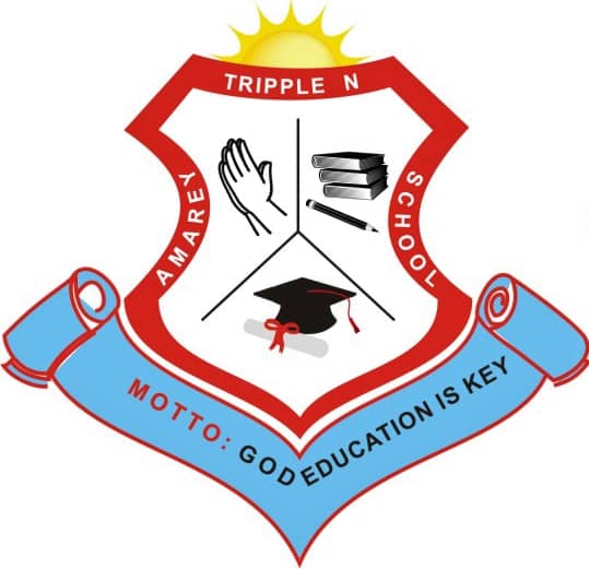 Amarey Triple N School Logo